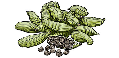 cardamome