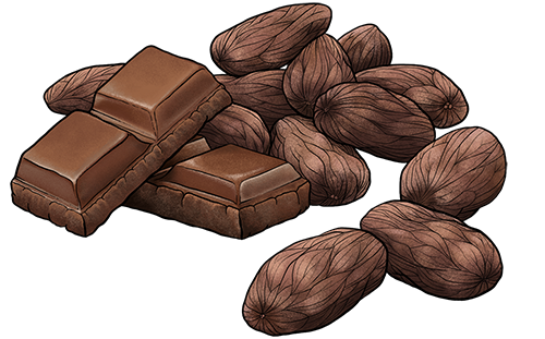 fève Cacao