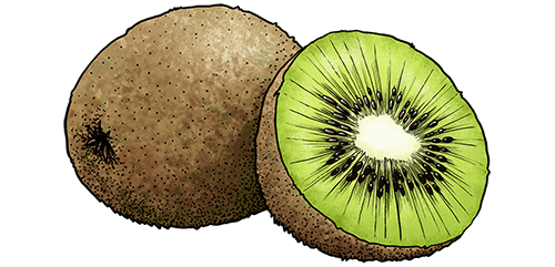 kiwi