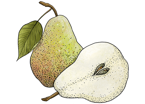 poire