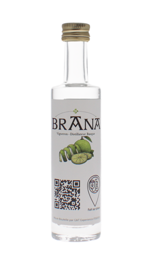 Gin au citron vert - Distillerie Brana