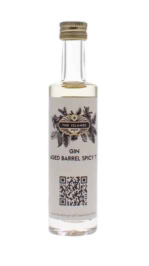 Gin Aged Barrel Spicy T - The island