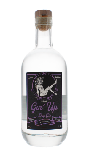 Le gin 43% - Old brothers