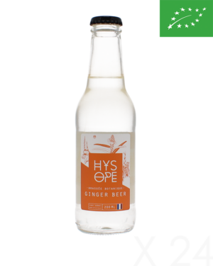 Hysope - Ginger beer x24