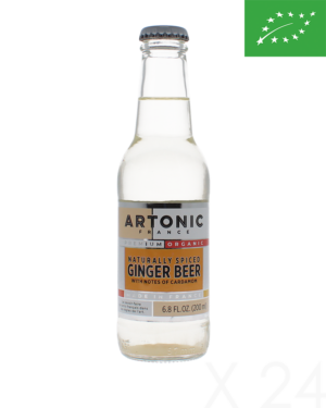 Artonic - Naturally spiced ginger beer x24