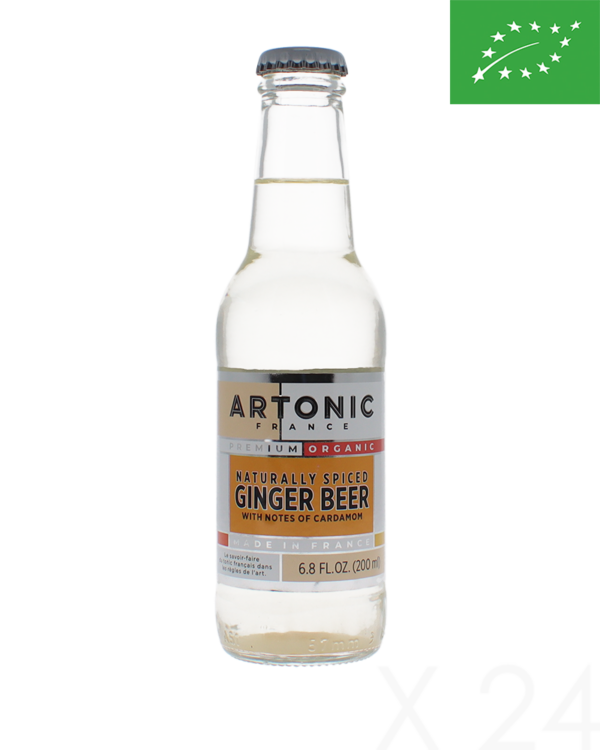 Artonic - Naturally spiced ginger beer x24