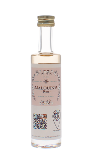Malouin's rose - Malouin's